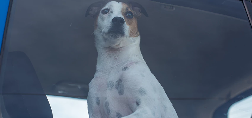 Car Lockout Solutions in Marina, California