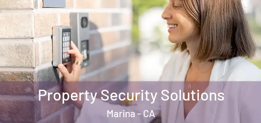 Property Security Solutions Marina - CA
